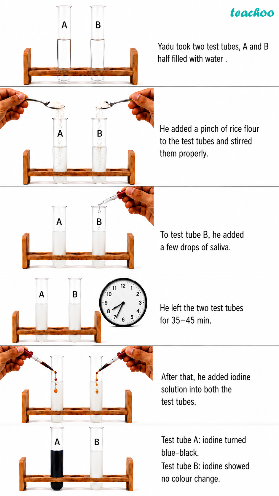 Question 9 — Yadu conducted an e - Life Processes in Anim - Class 7 (C - Questions at the end of the chapter